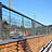 Bird screen in glass