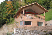Vue