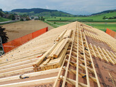 Roof view