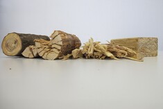 Augmentation de capital et assemblée générale chez Scrimber